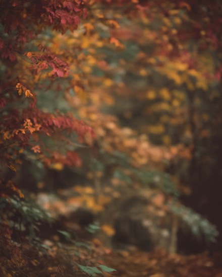 Current Backdrops 
