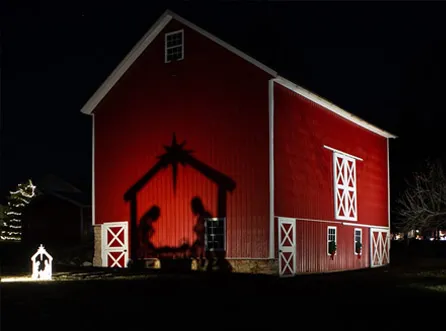 Reindeer And Sleigh Outdoor Decoration