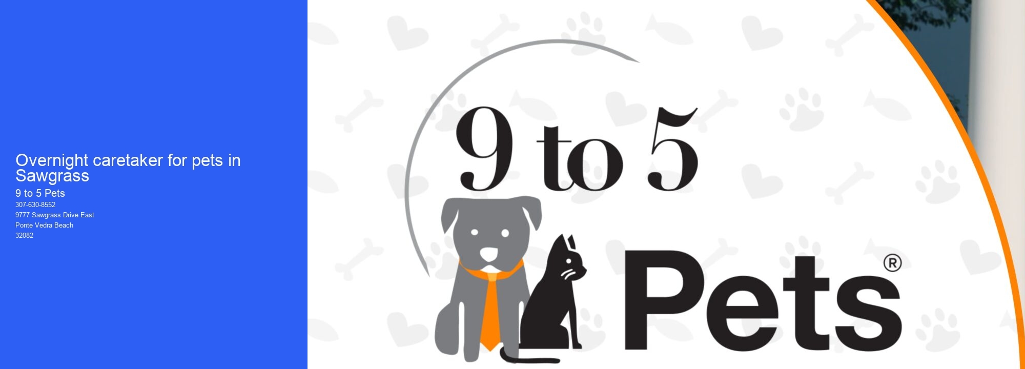 Overnight caretaker for pets in Sawgrass