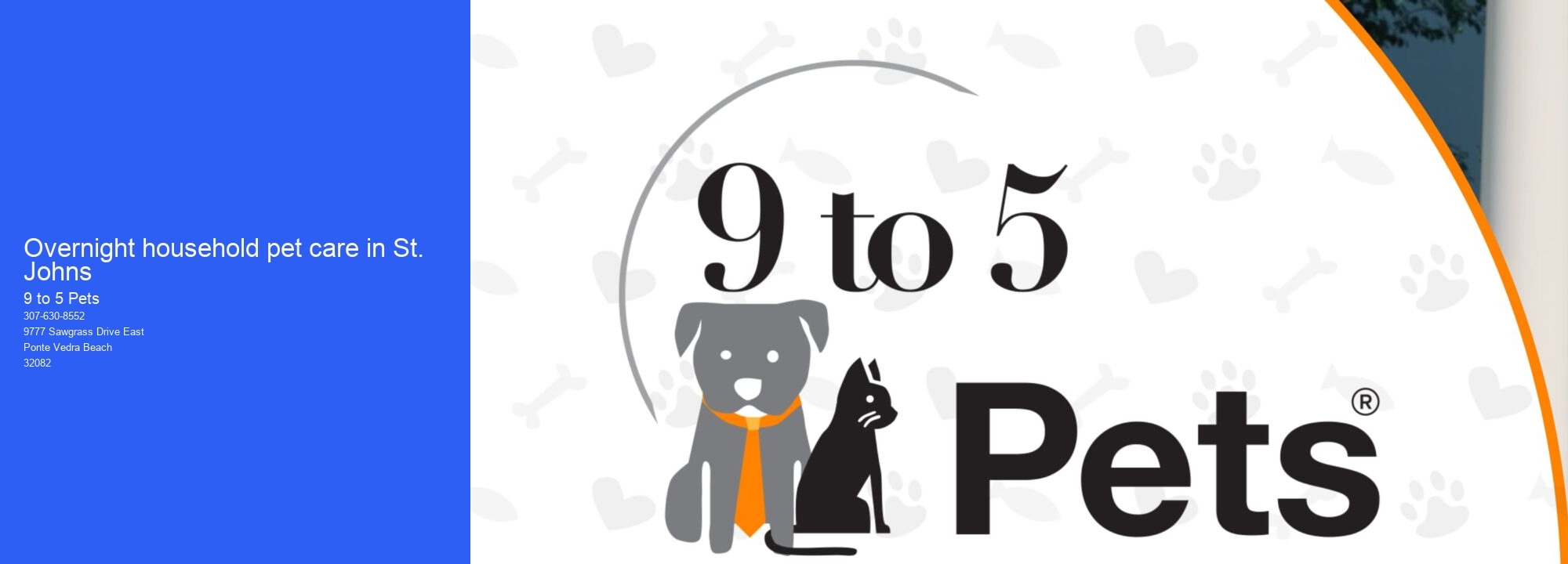 Overnight household pet care in St. Johns