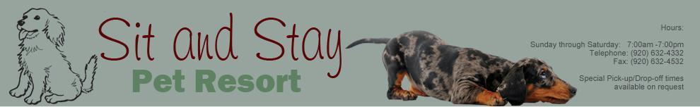sit and stay pet resort