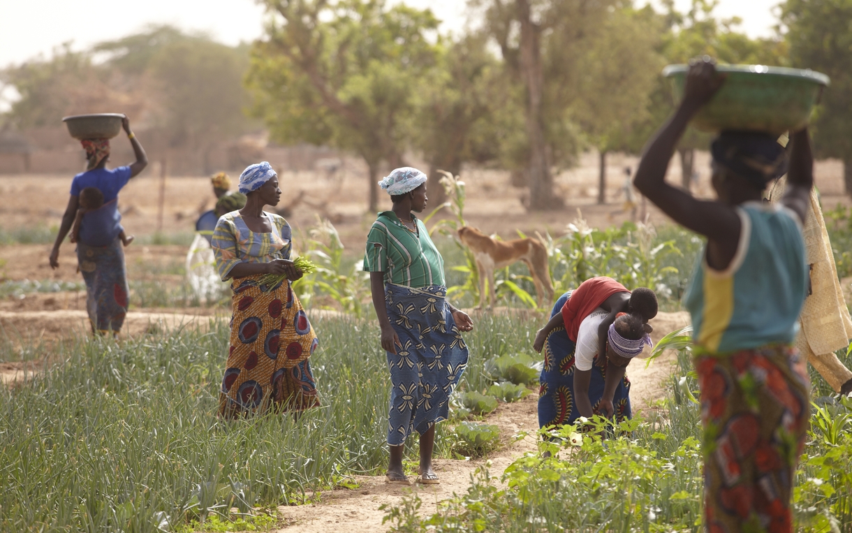 Sahel food crisis: Waiting for water--and the garden to grow--in