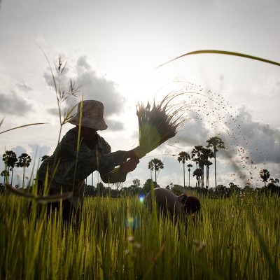 Donate in someone's memory