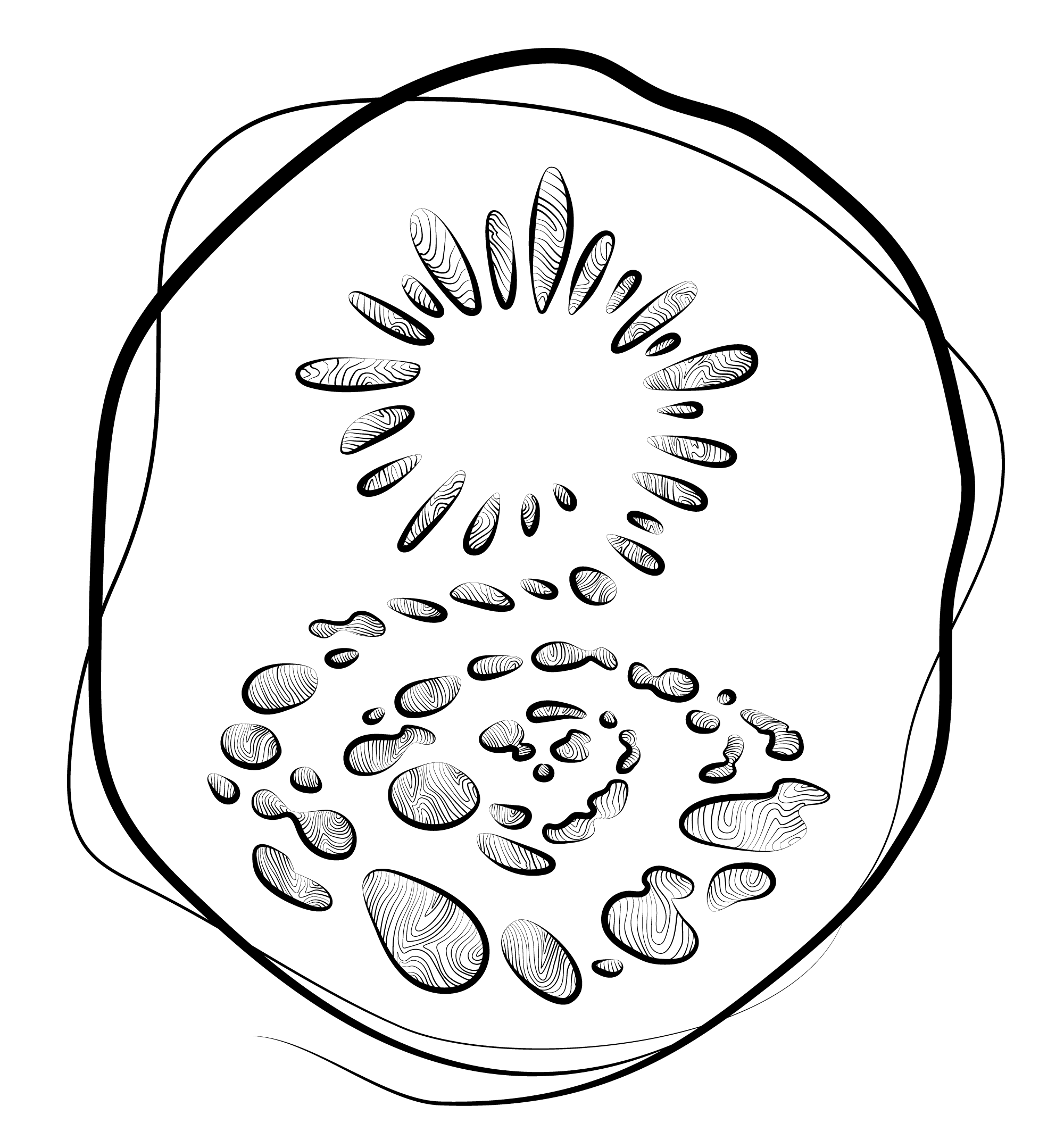Merchant logo image