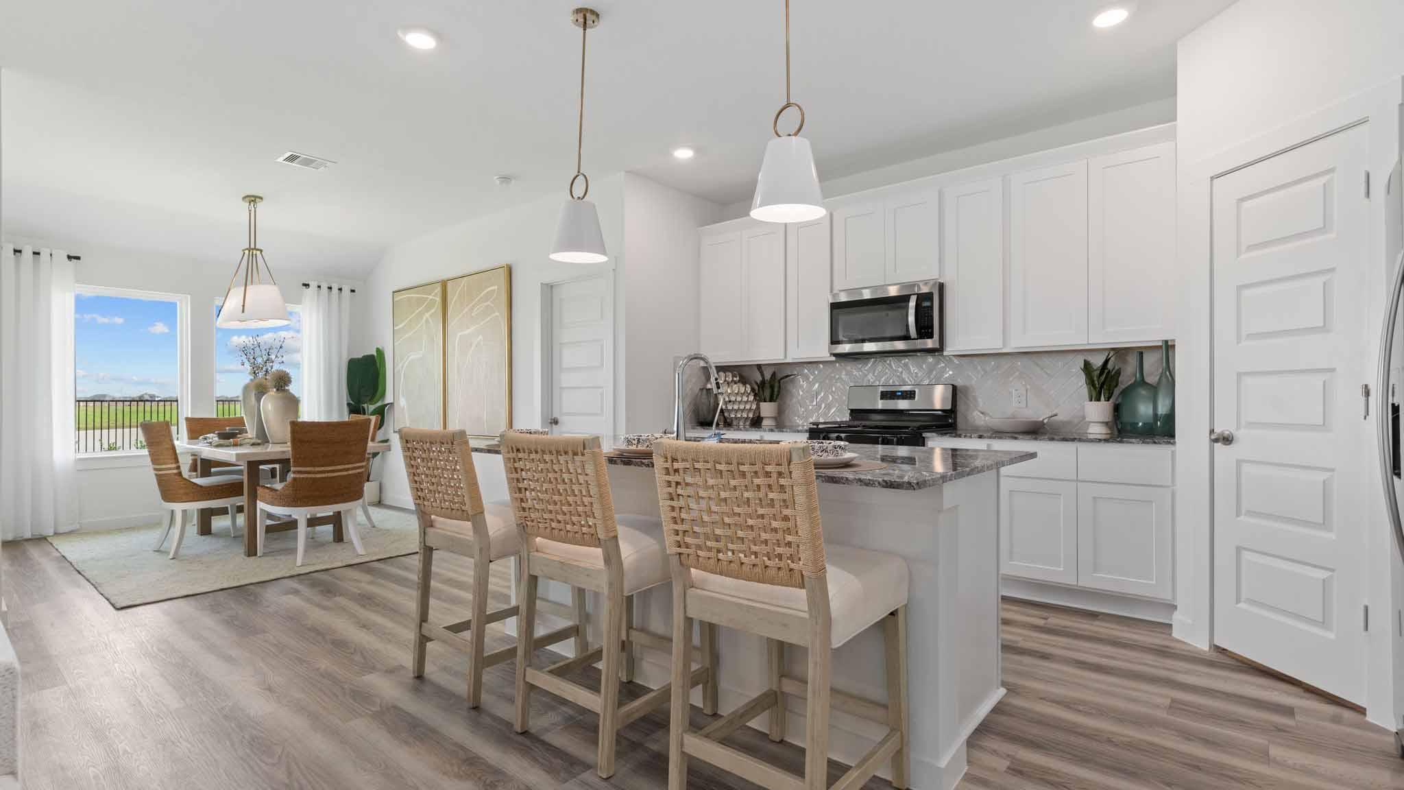 Lago Mar by D.R. Horton Image