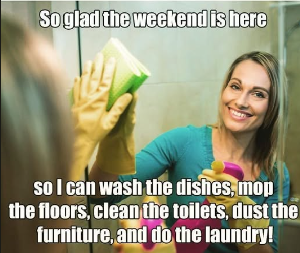 My Personal Cleaner LLC - Hudsonville, MI