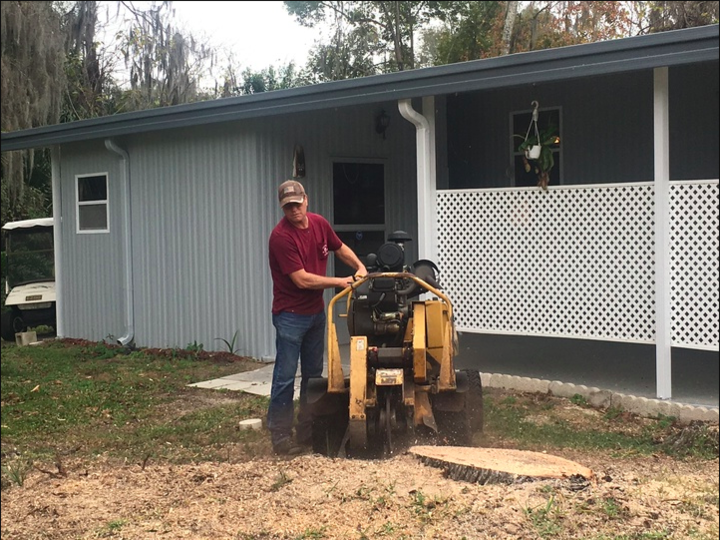 Action Tree Experts - Lady Lake, FL