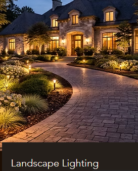 Illuminate The Seasons LLC Image