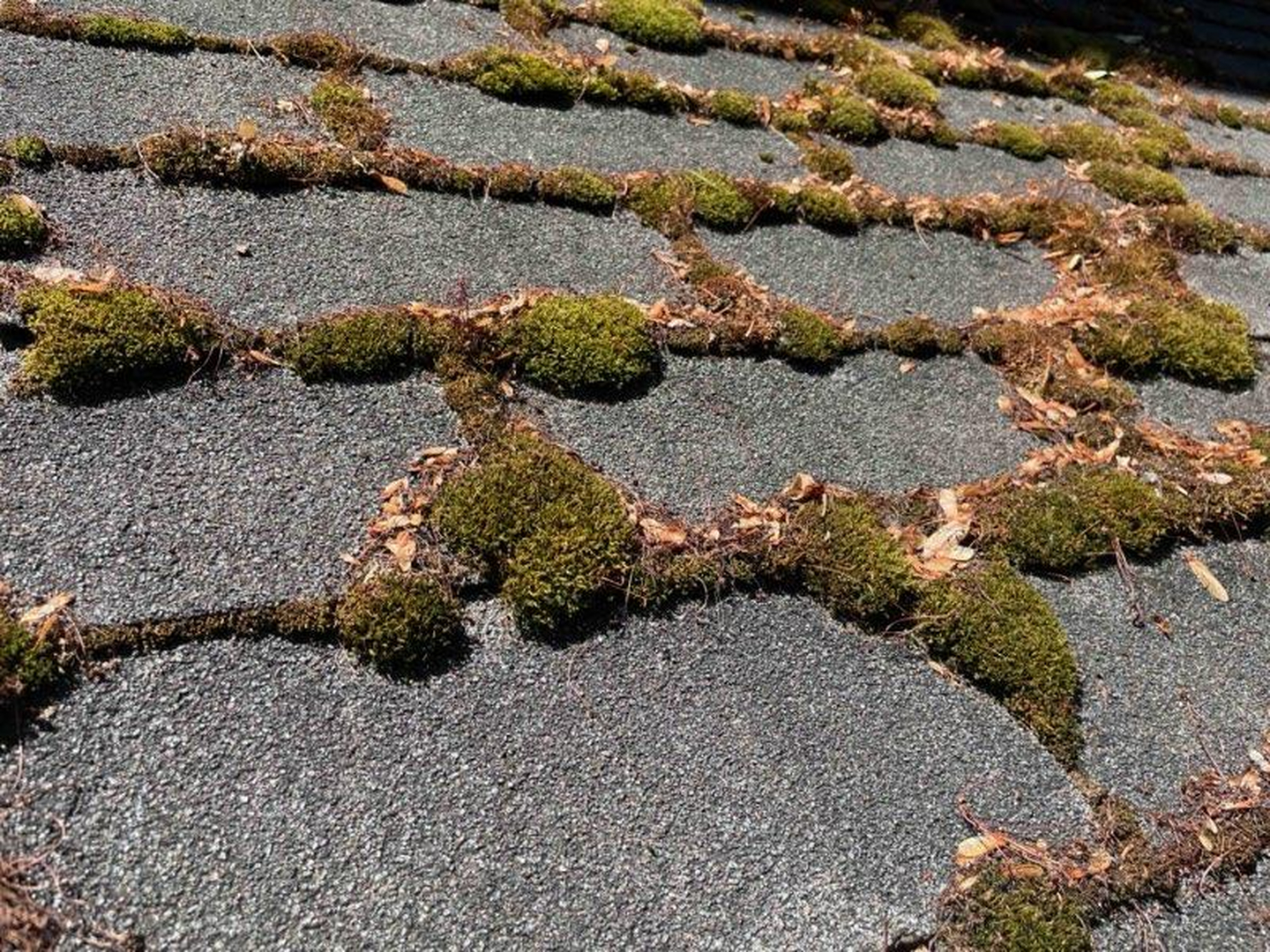 Rock Solid Roofing Image