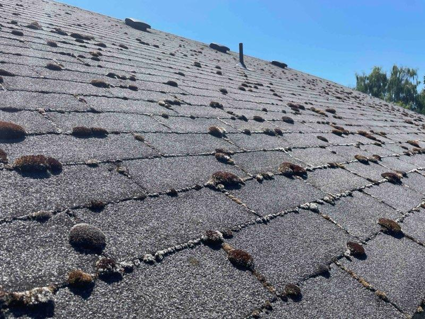 Rock Solid Roofing Image