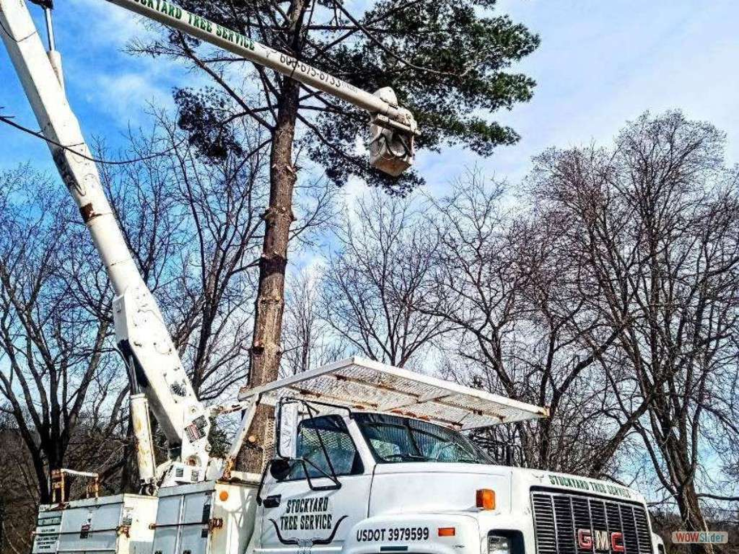 Stockyard Tree Service - Viroqua, WI