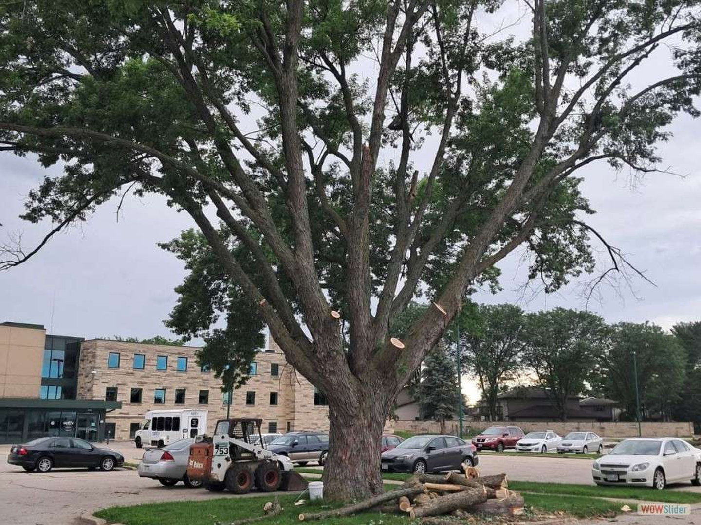 Stockyard Tree Service - Viroqua, WI