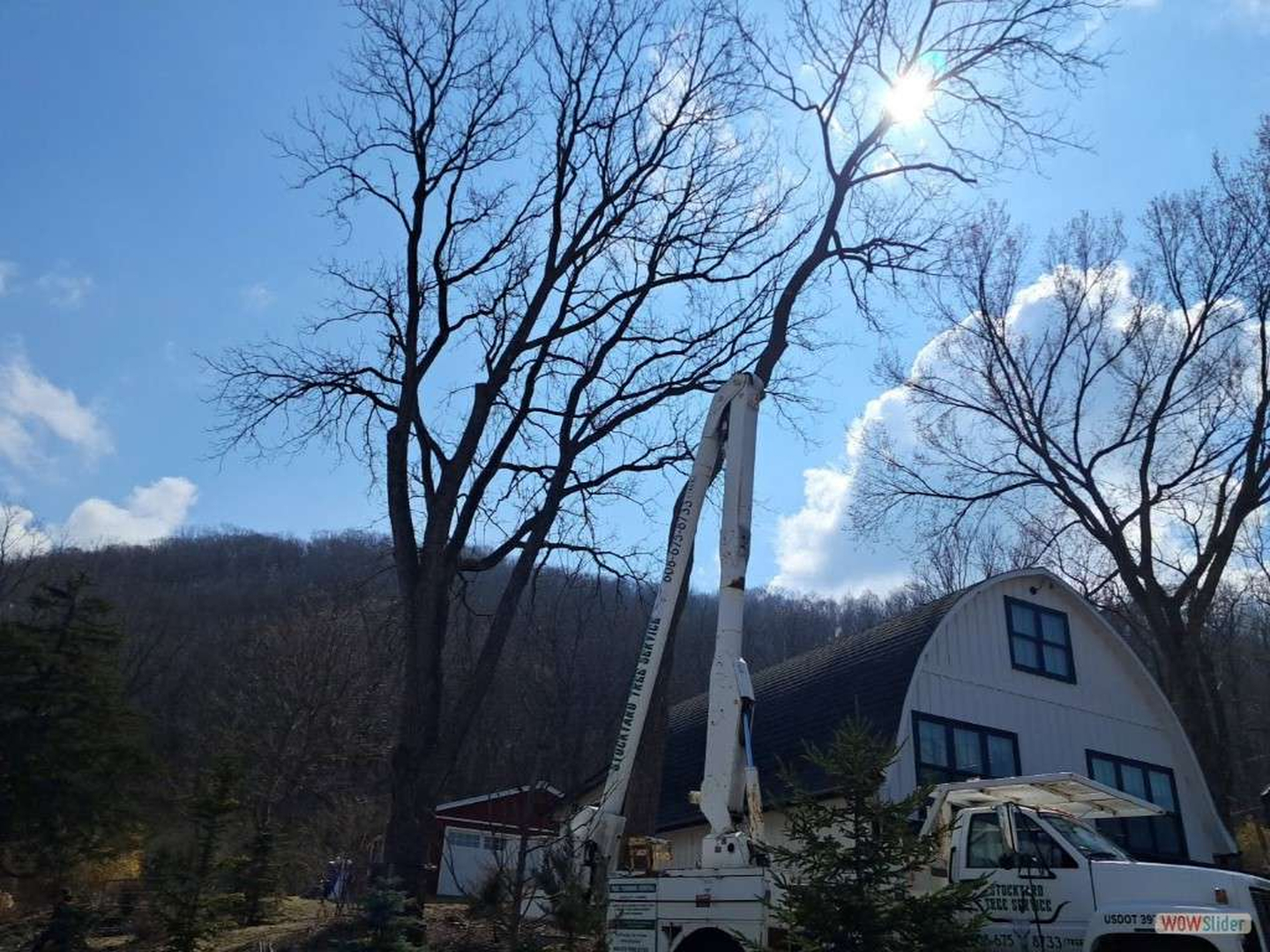 Stockyard Tree Service - Viroqua, WI