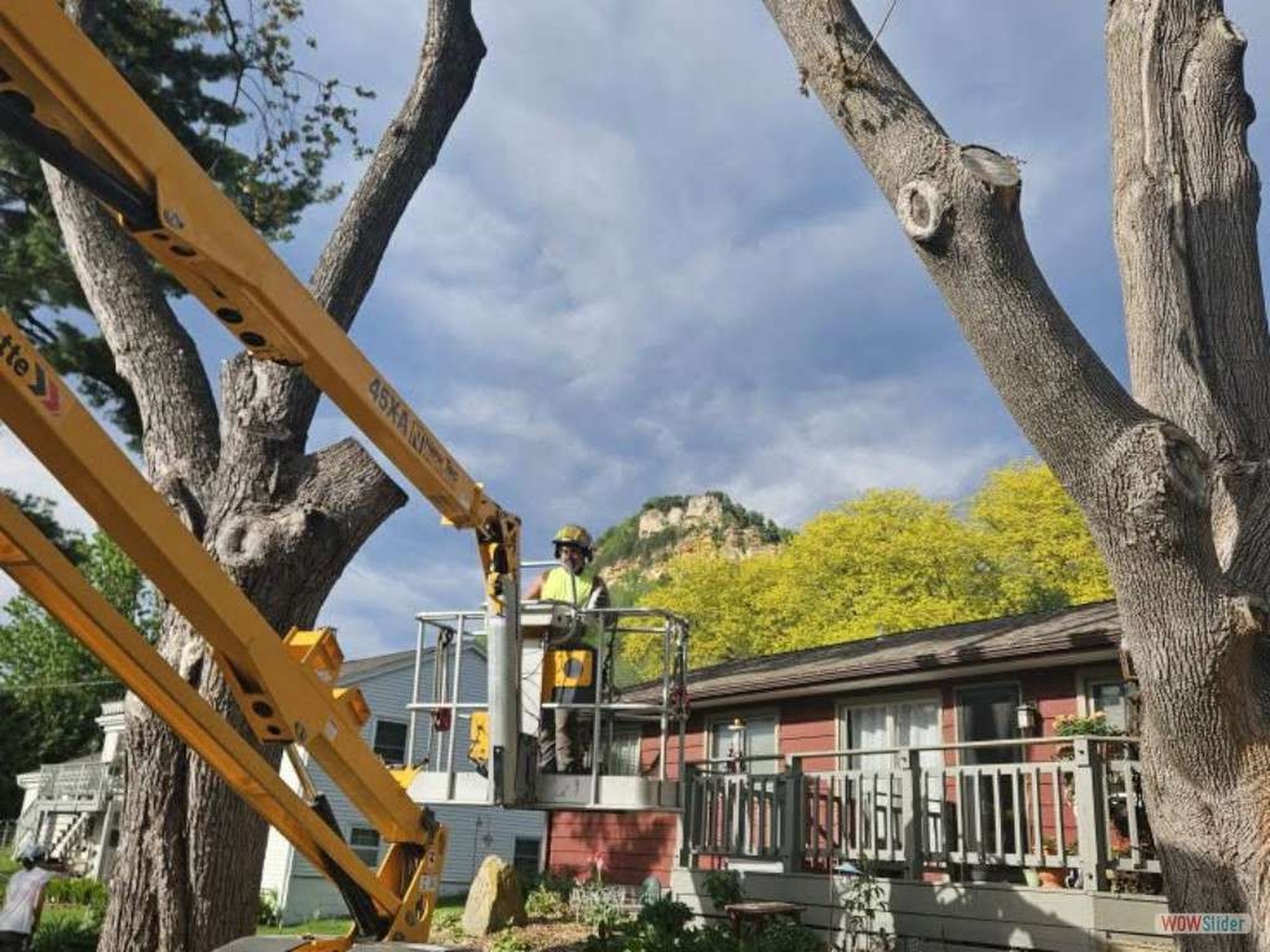 Stockyard Tree Service - Viroqua, WI