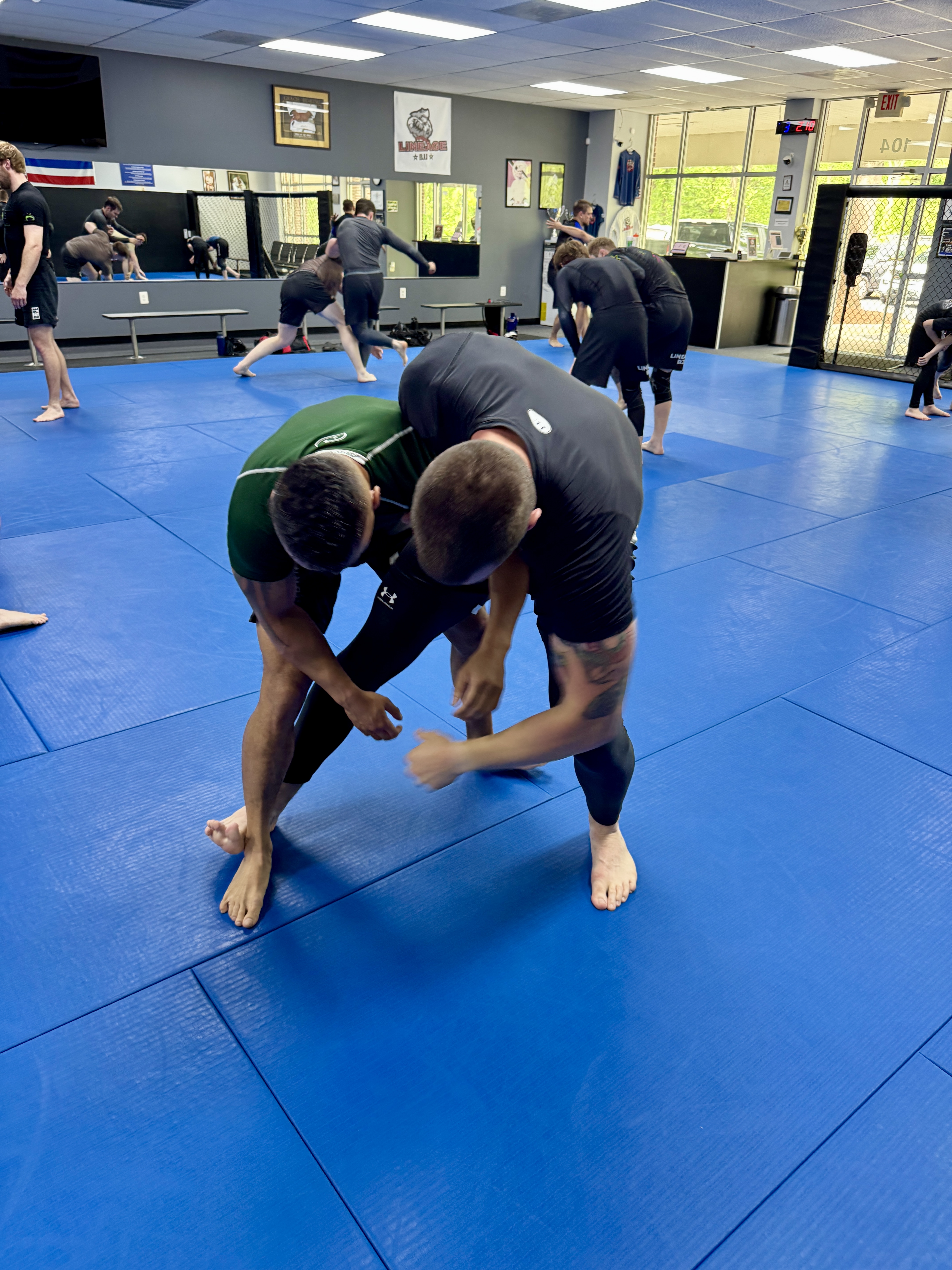 Calvert MMA Academy - Lineage BJJ / Gracie Jiu-Jitsu Image