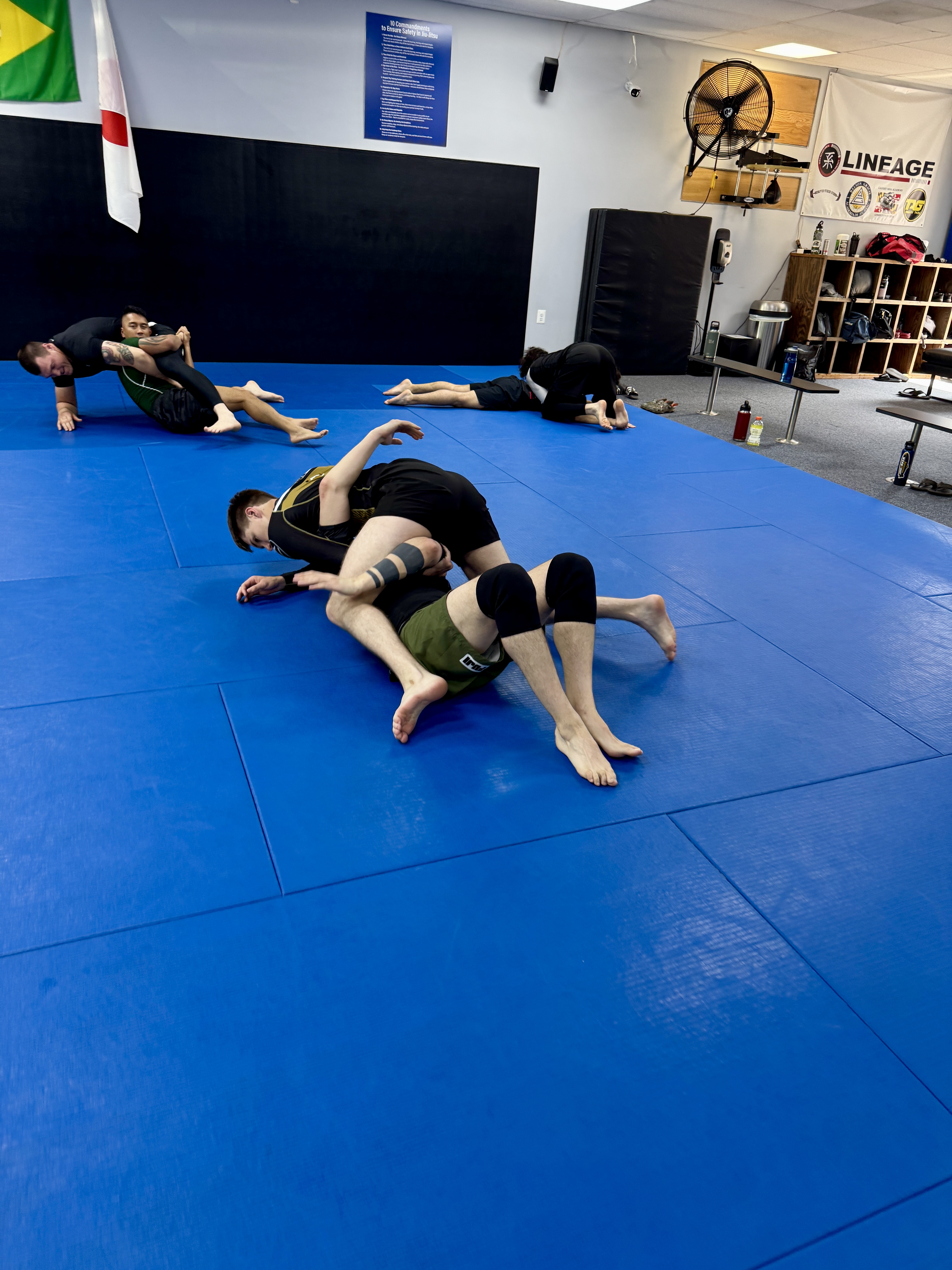 Calvert MMA Academy - Lineage BJJ / Gracie Jiu-Jitsu Image