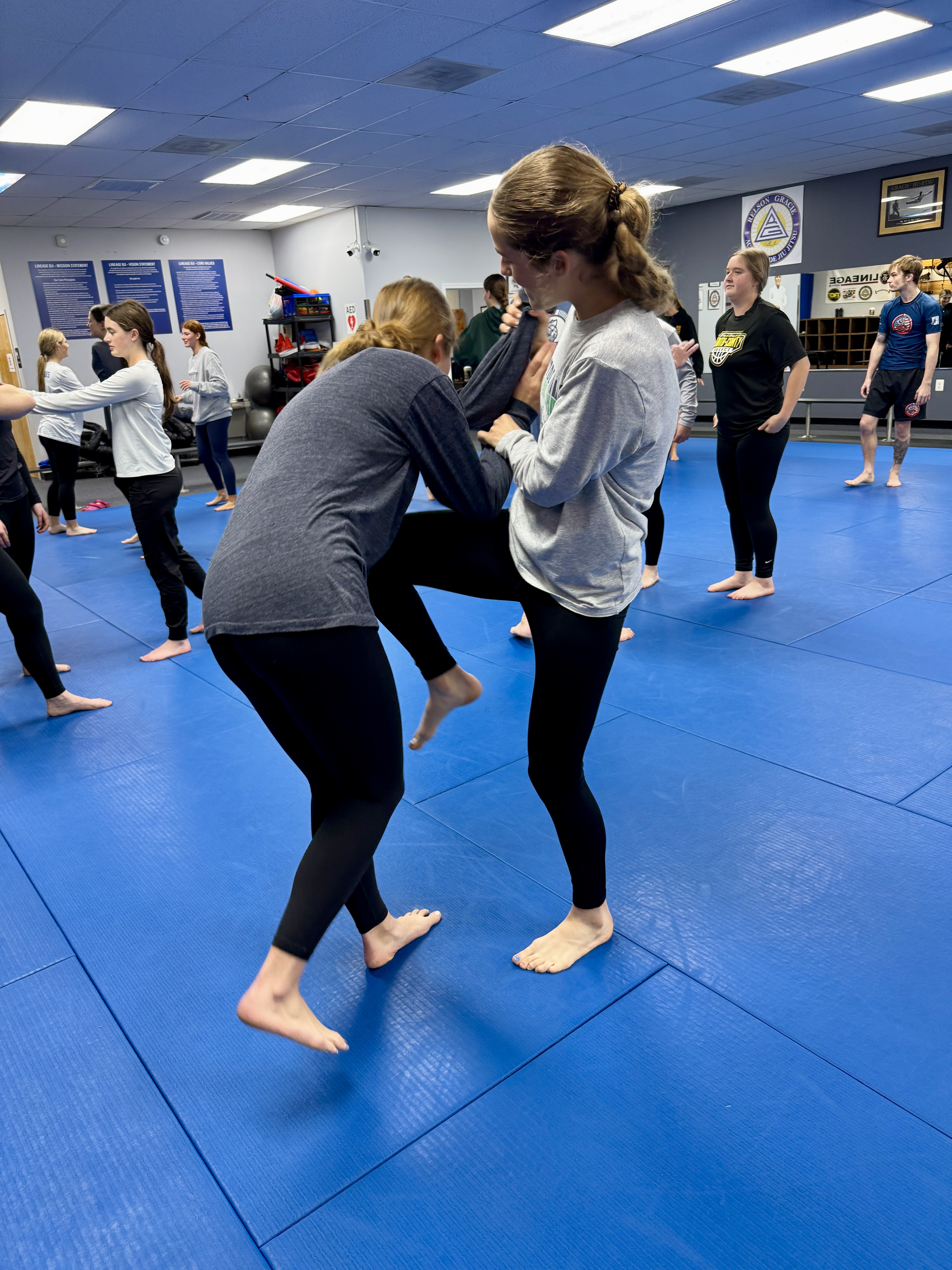 Calvert MMA Academy - Lineage BJJ / Gracie Jiu-Jitsu Image