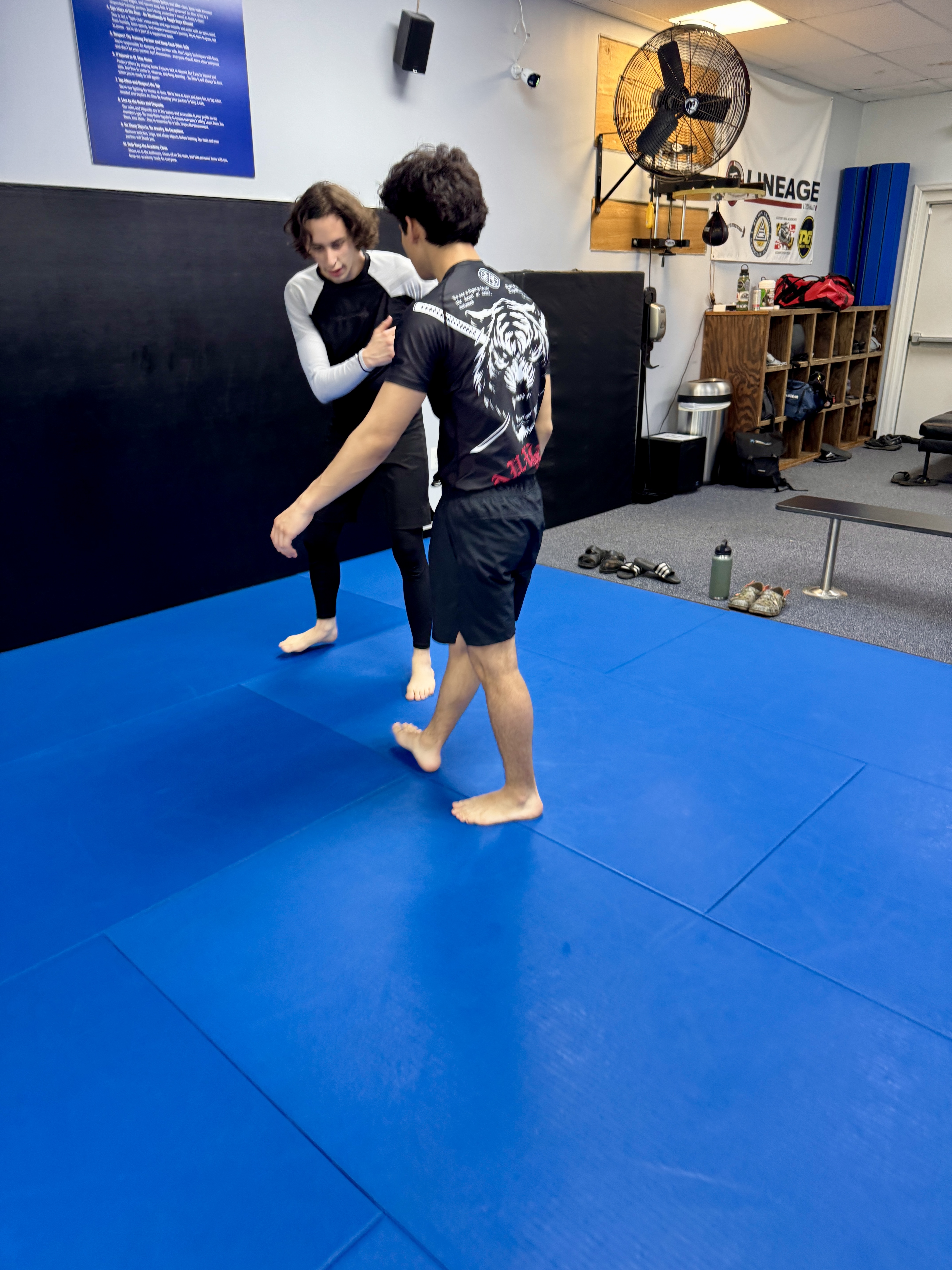 Calvert MMA Academy - Lineage BJJ / Gracie Jiu-Jitsu Image