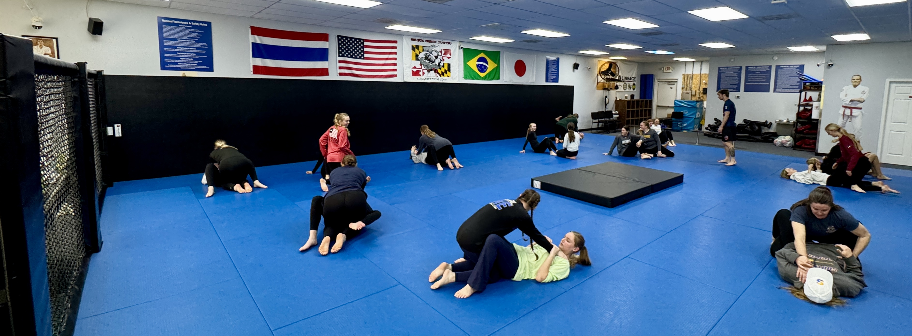 Calvert MMA Academy - Lineage BJJ / Gracie Jiu-Jitsu Image