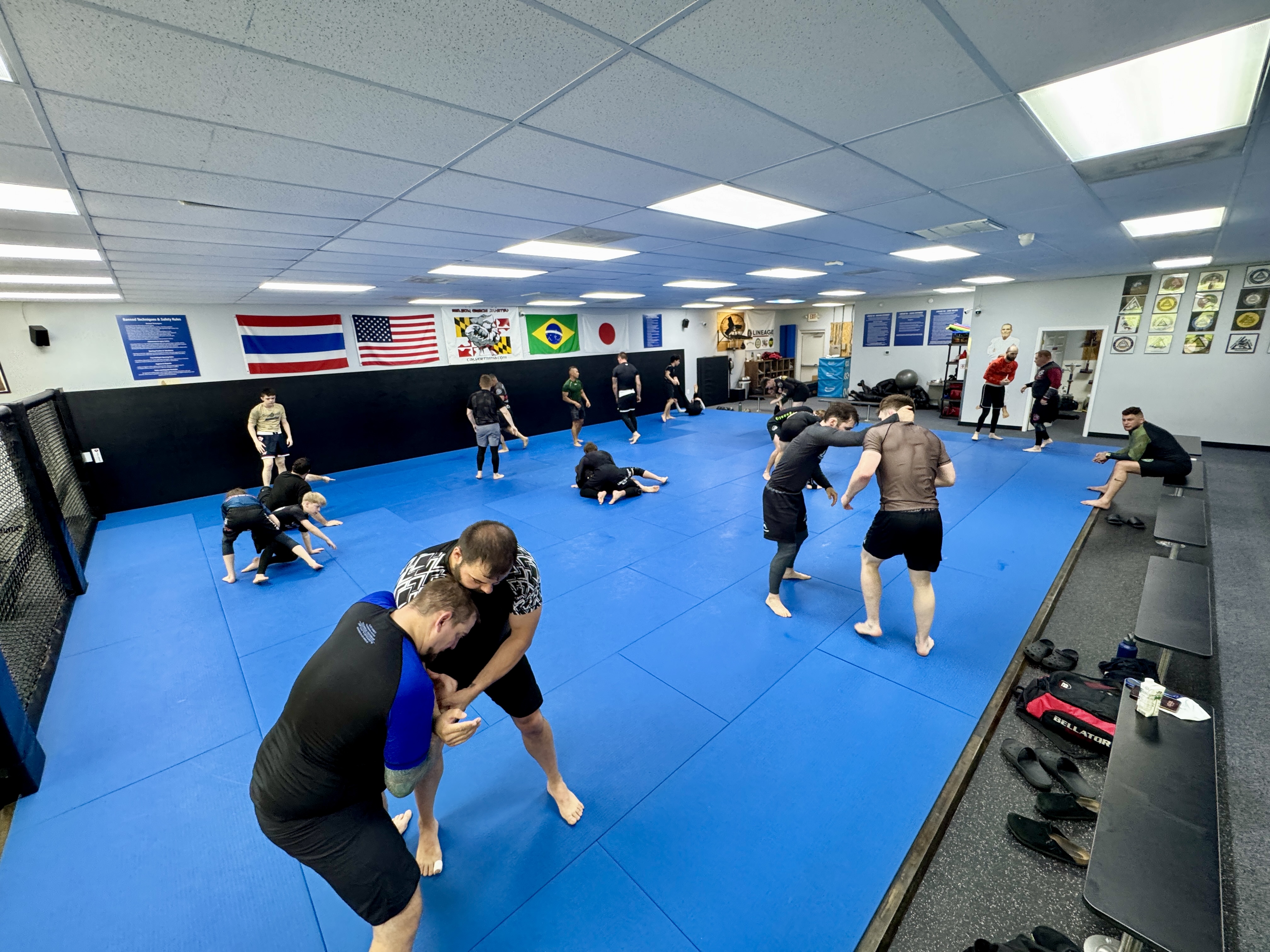 Calvert MMA Academy - Lineage BJJ / Gracie Jiu-Jitsu Image