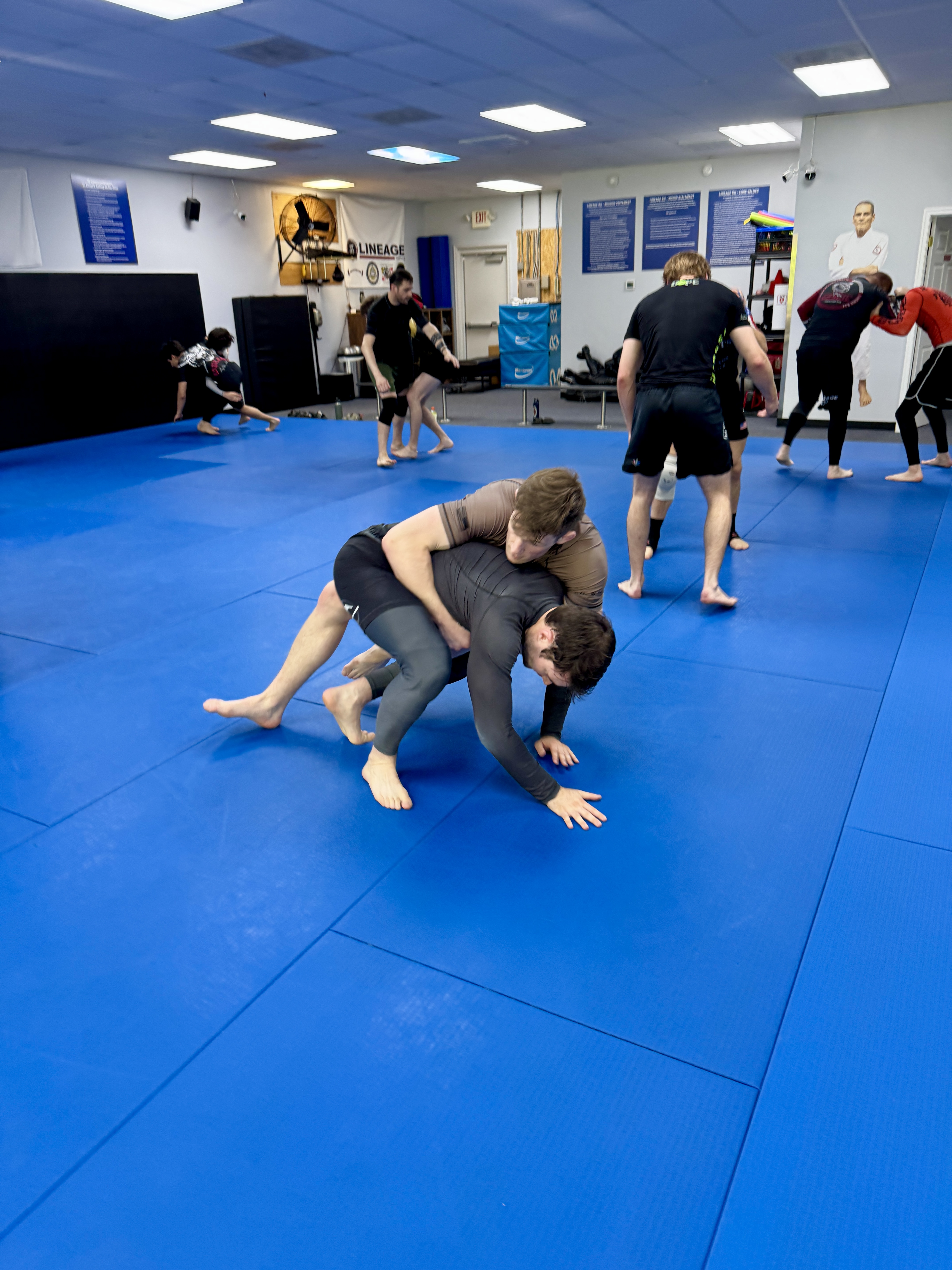 Calvert MMA Academy - Lineage BJJ / Gracie Jiu-Jitsu Image
