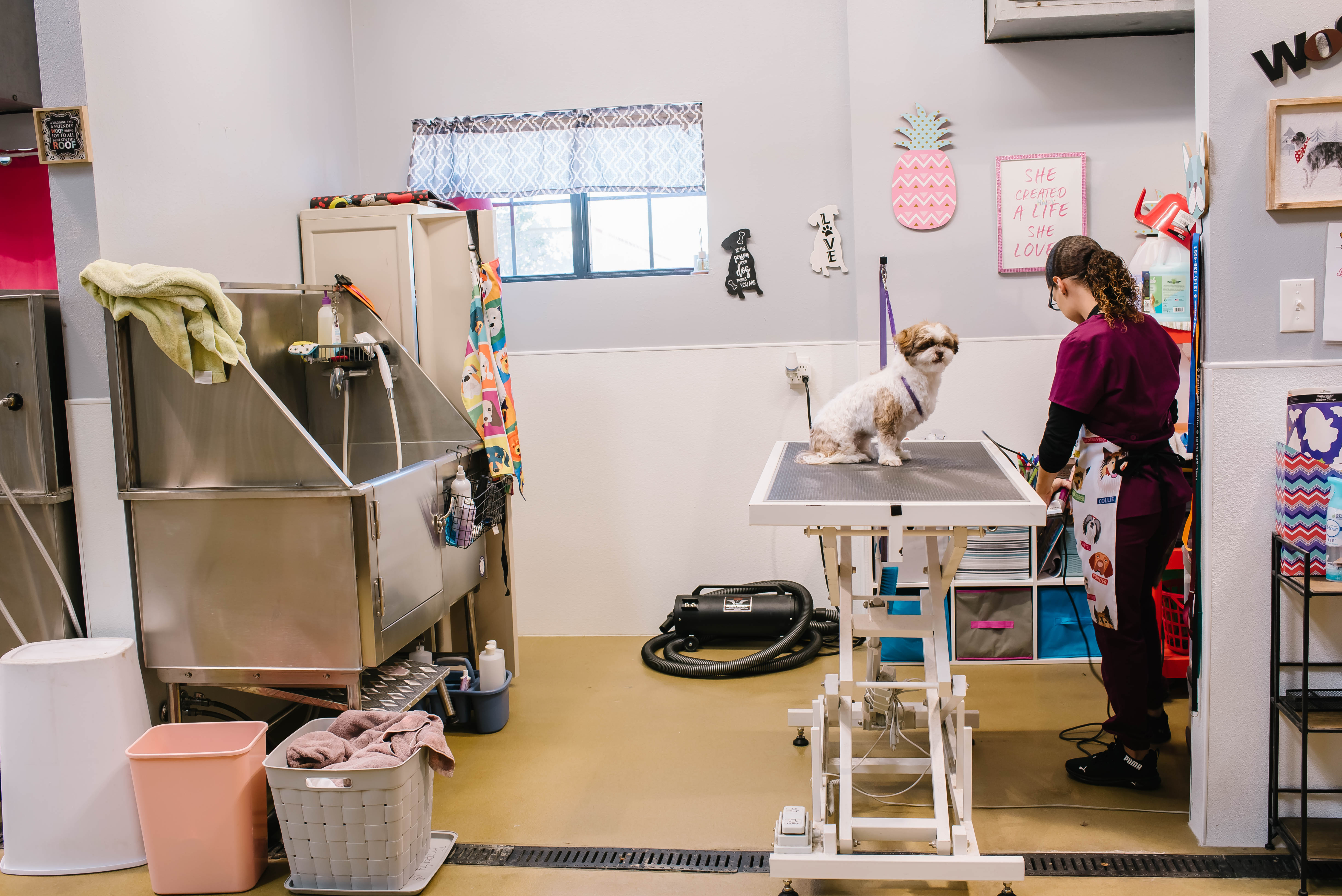 Family Pet Center Image