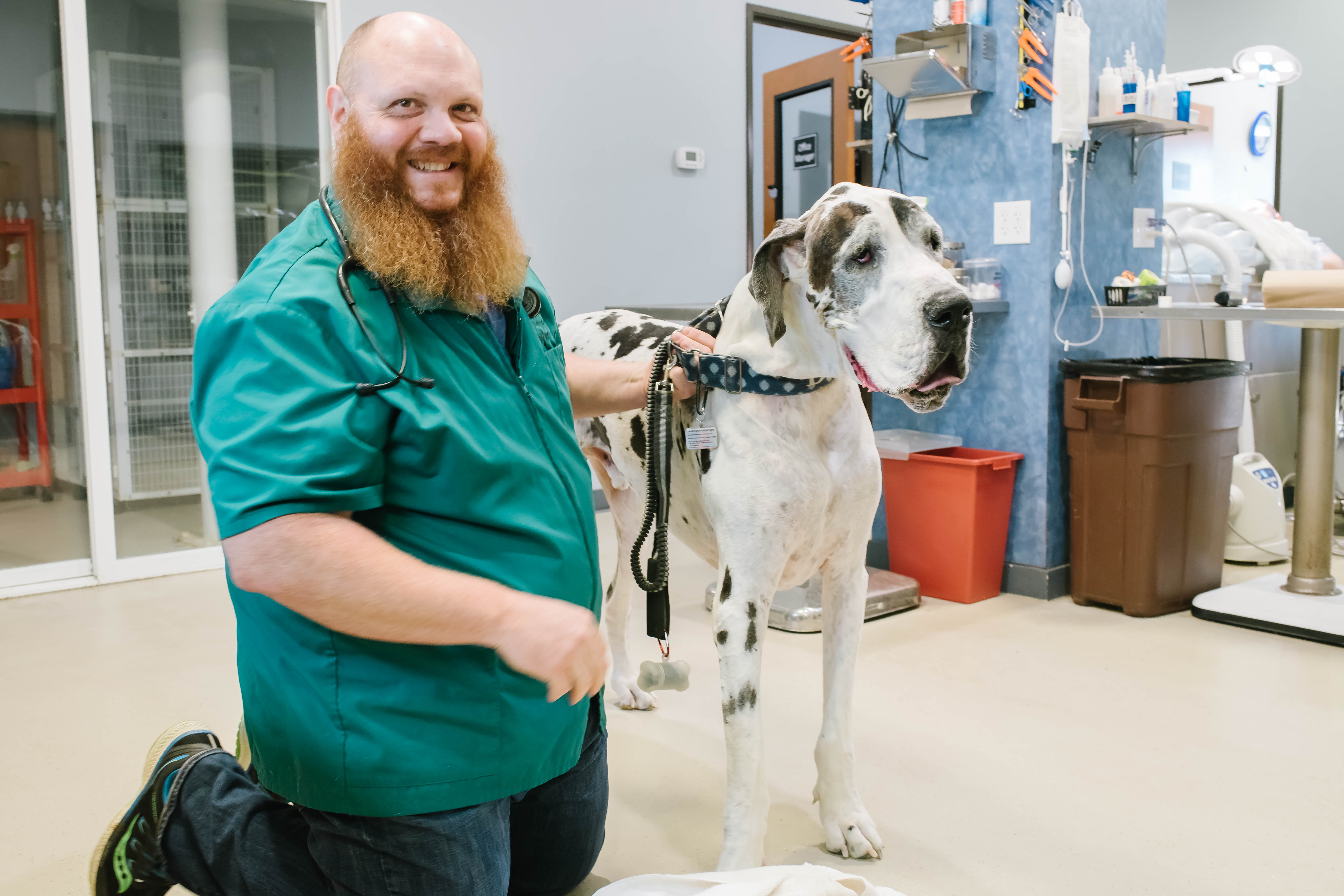 Family Pet Center Image