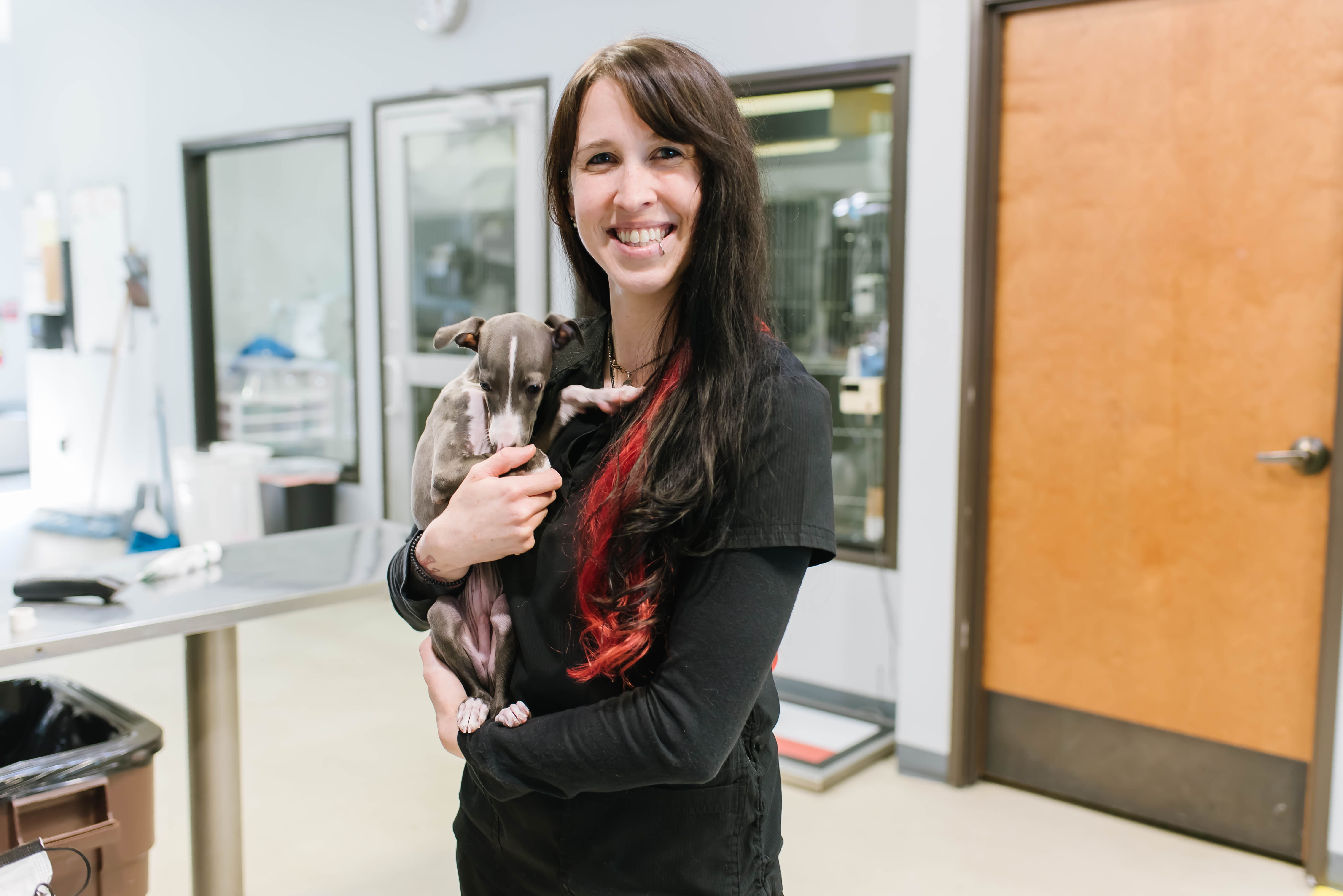 Family Pet Center Image