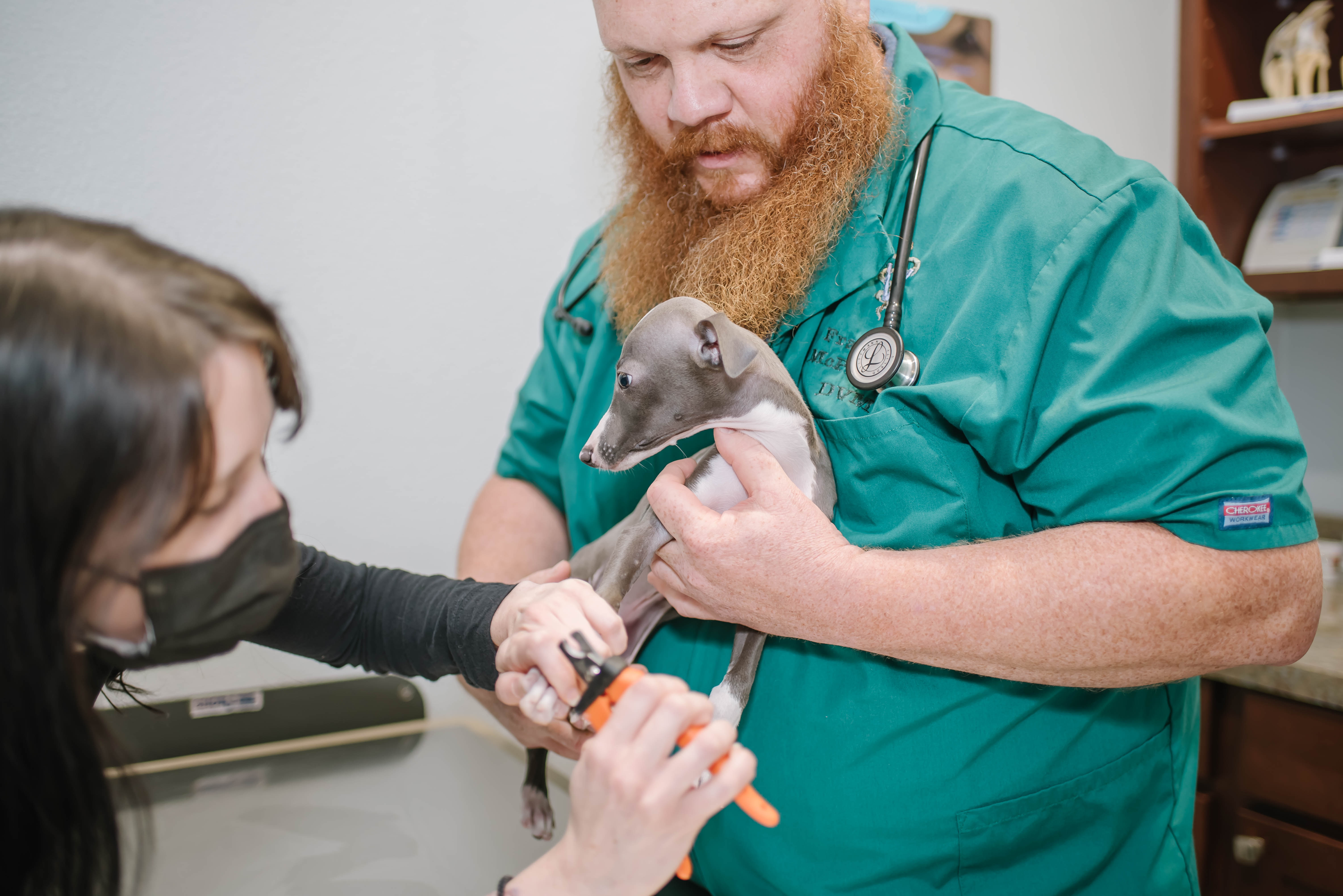 Family Pet Center Image