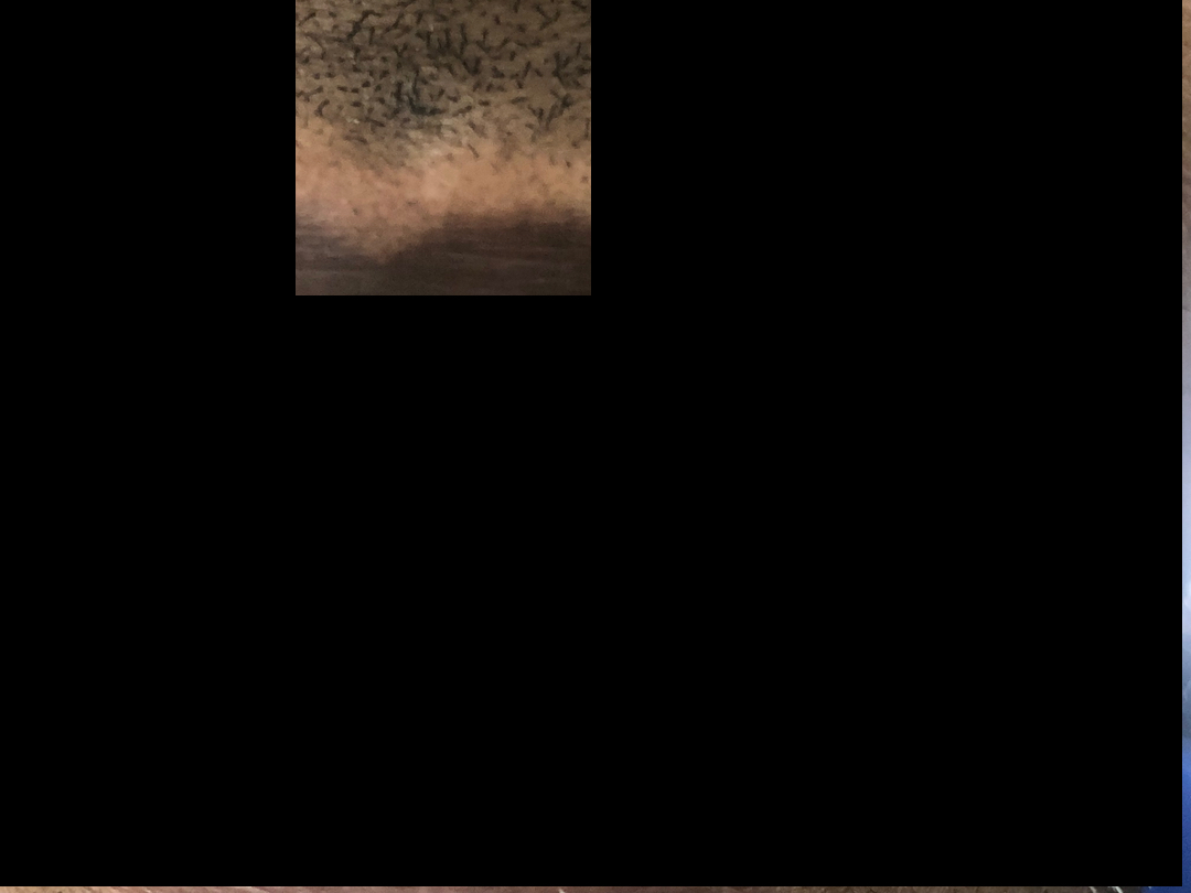 Heru grillz : Diamond gold teeth Image