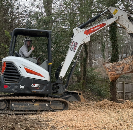 Arbory Tree Services LLC - Asheville, NC