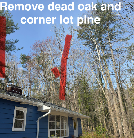 Arbory Tree Services LLC - Asheville, NC