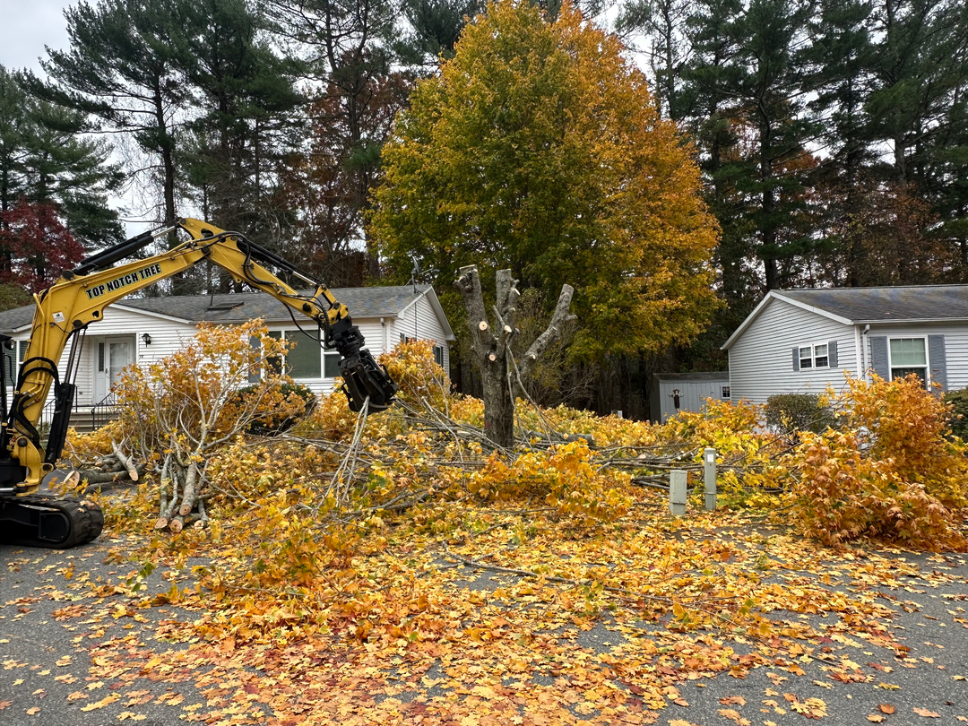 Top Notch Tree, Inc. - Rockland, MA