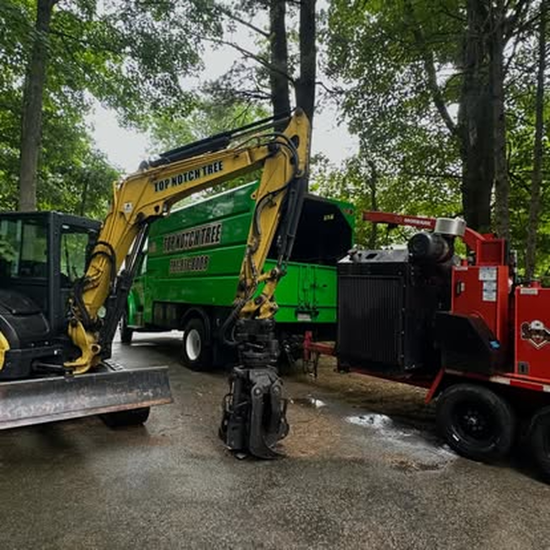 Top Notch Tree, Inc. - Rockland, MA