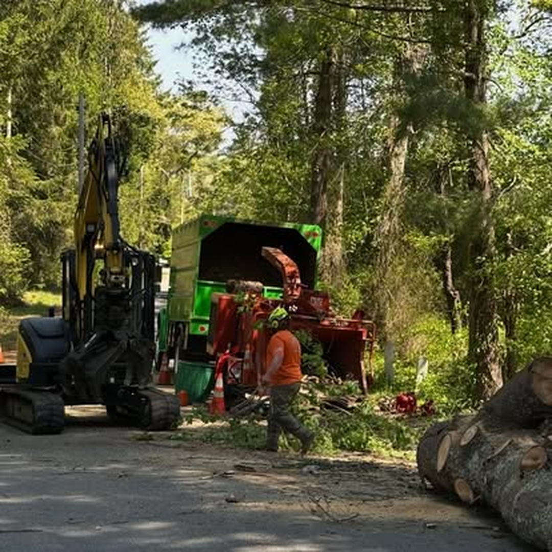 Top Notch Tree, Inc. - Rockland, MA