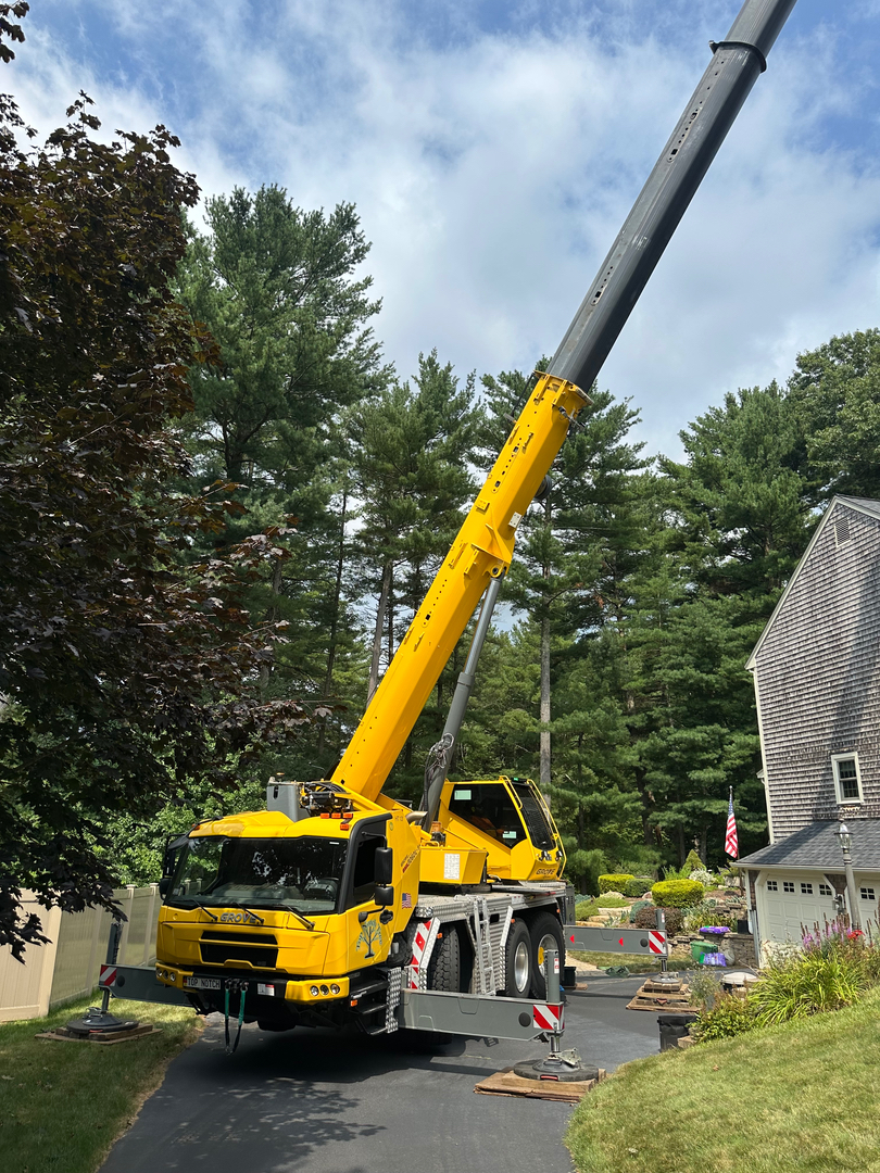 Top Notch Tree, Inc. - Rockland, MA