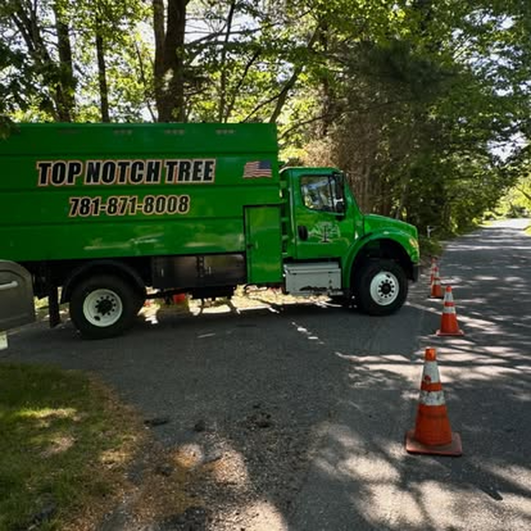 Top Notch Tree, Inc. - Rockland, MA