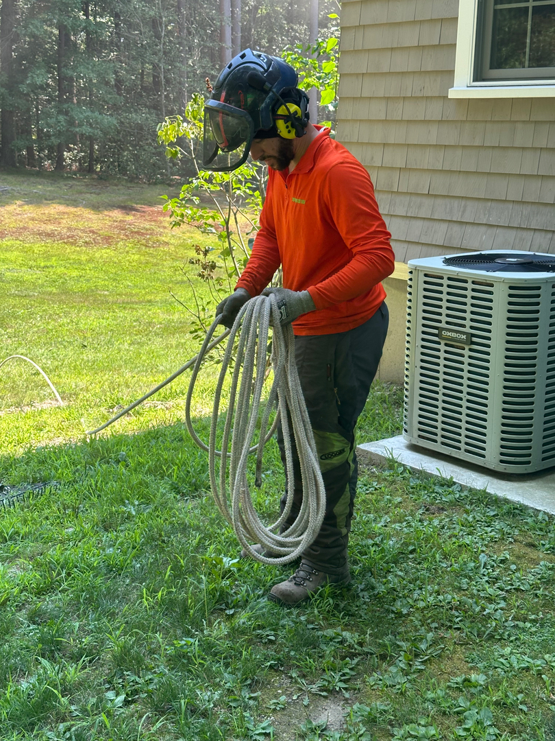 Top Notch Tree, Inc. - Rockland, MA