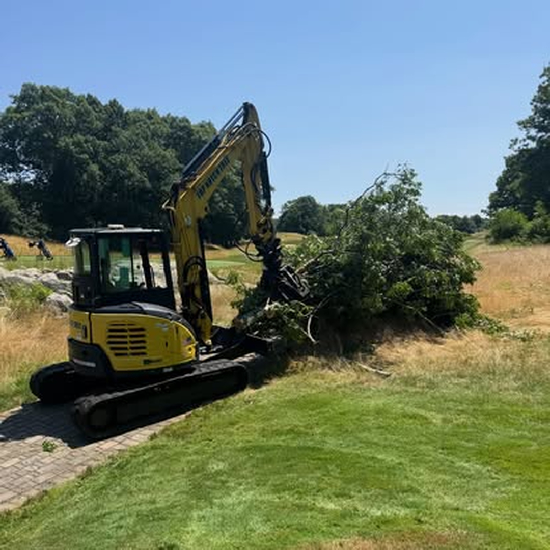 Top Notch Tree, Inc. - Rockland, MA
