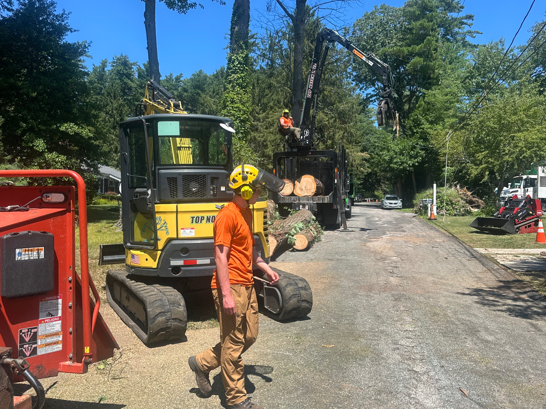 Top Notch Tree, Inc. - Rockland, MA
