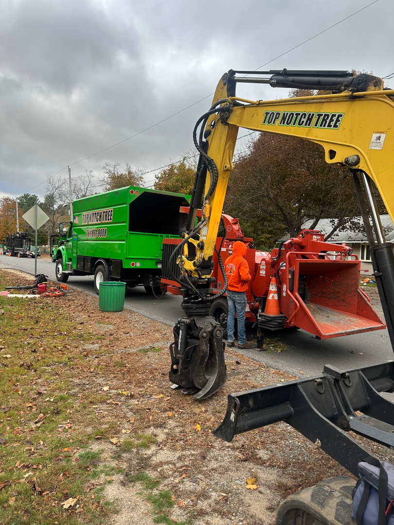 Top Notch Tree, Inc. - Rockland, MA