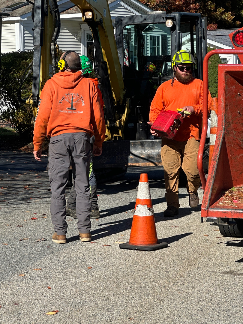 Top Notch Tree, Inc. - Rockland, MA