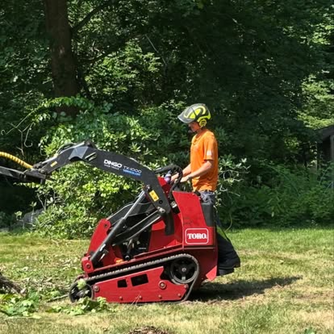 Top Notch Tree, Inc. - Rockland, MA