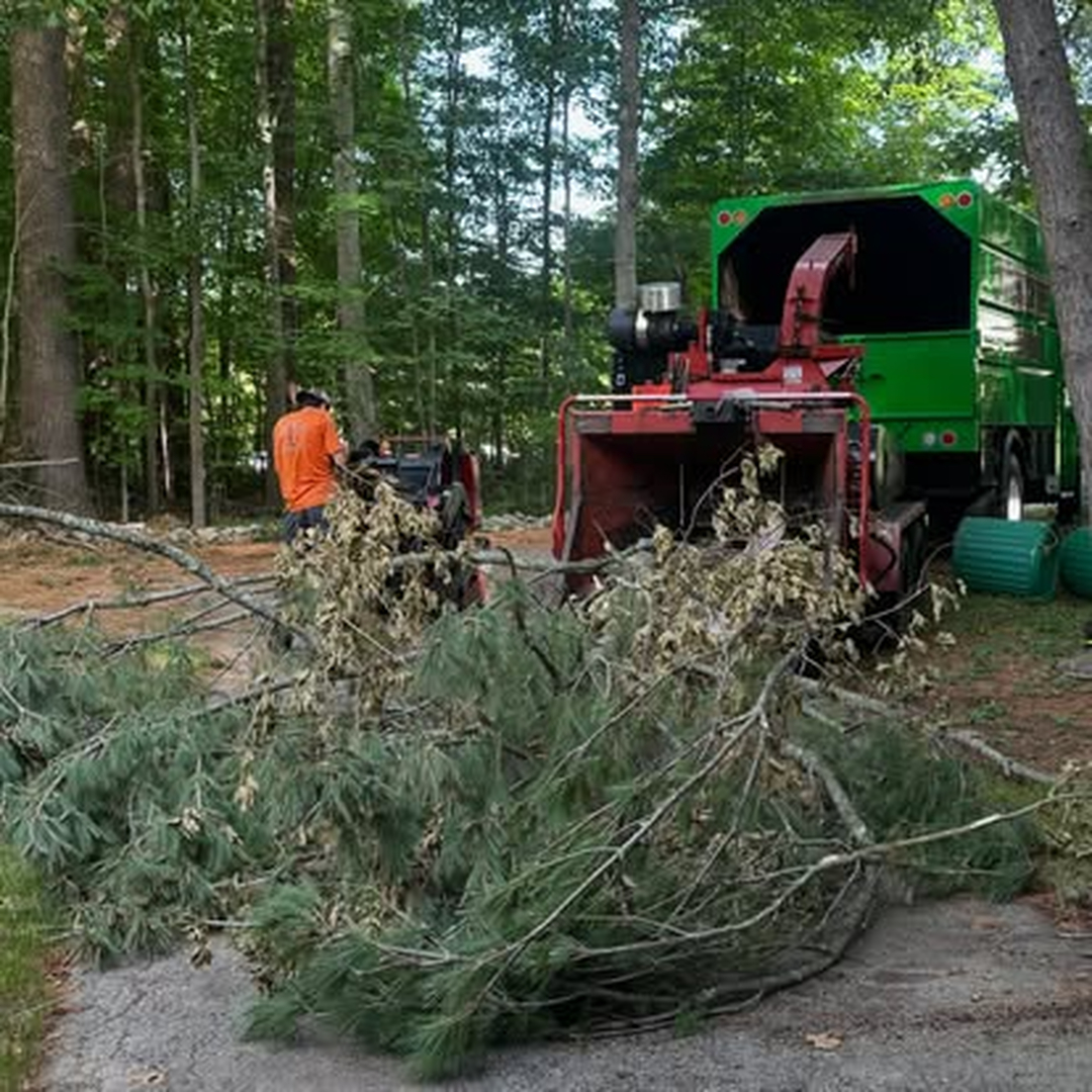 Top Notch Tree, Inc. - Rockland, MA