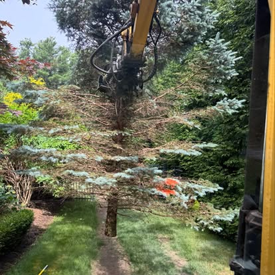 Top Notch Tree, Inc. - Rockland, MA