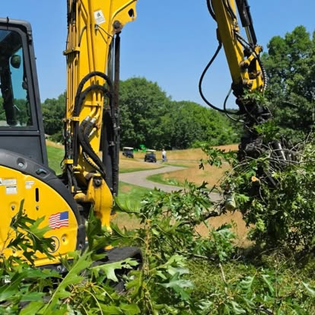 Top Notch Tree, Inc. - Rockland, MA