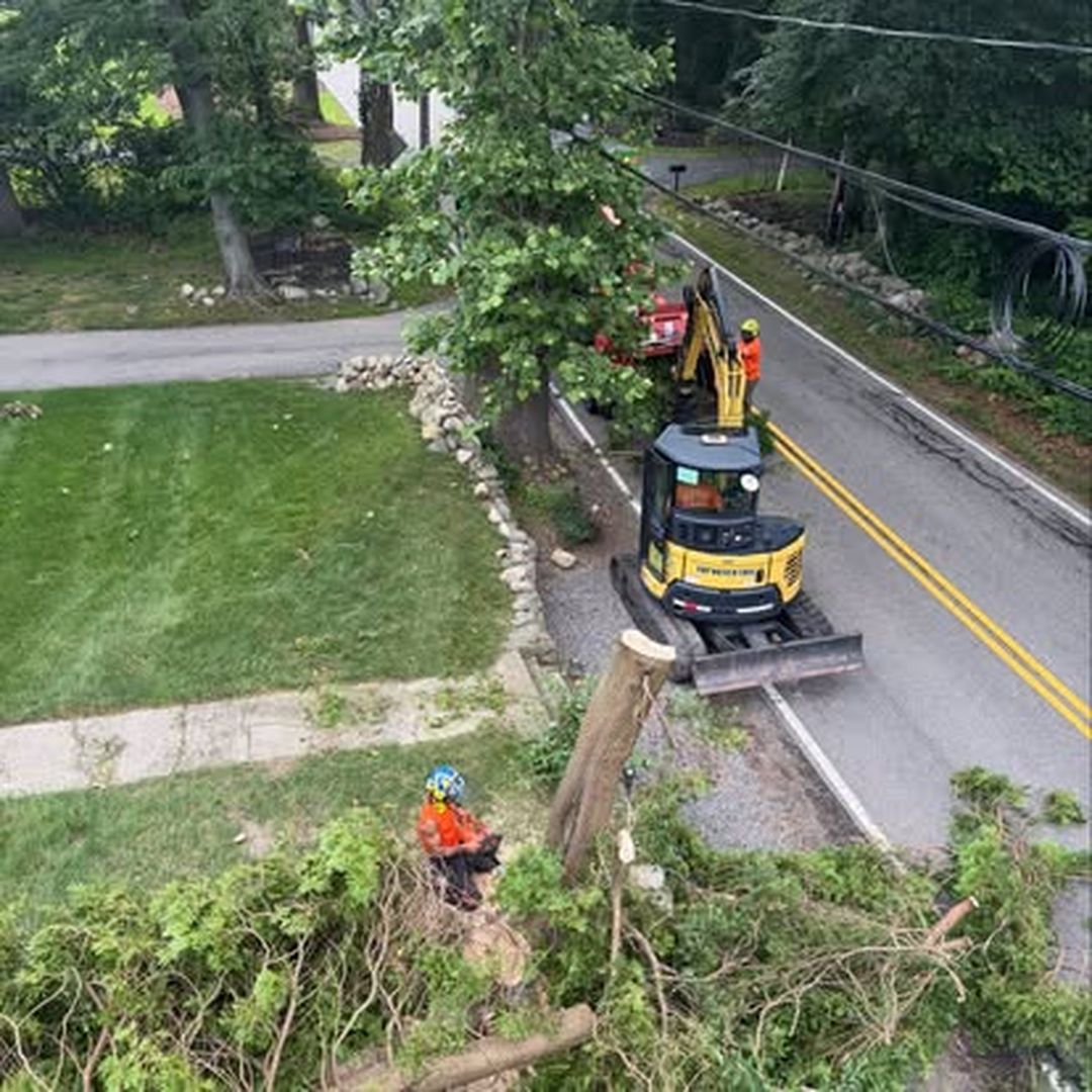 Top Notch Tree, Inc. - Rockland, MA