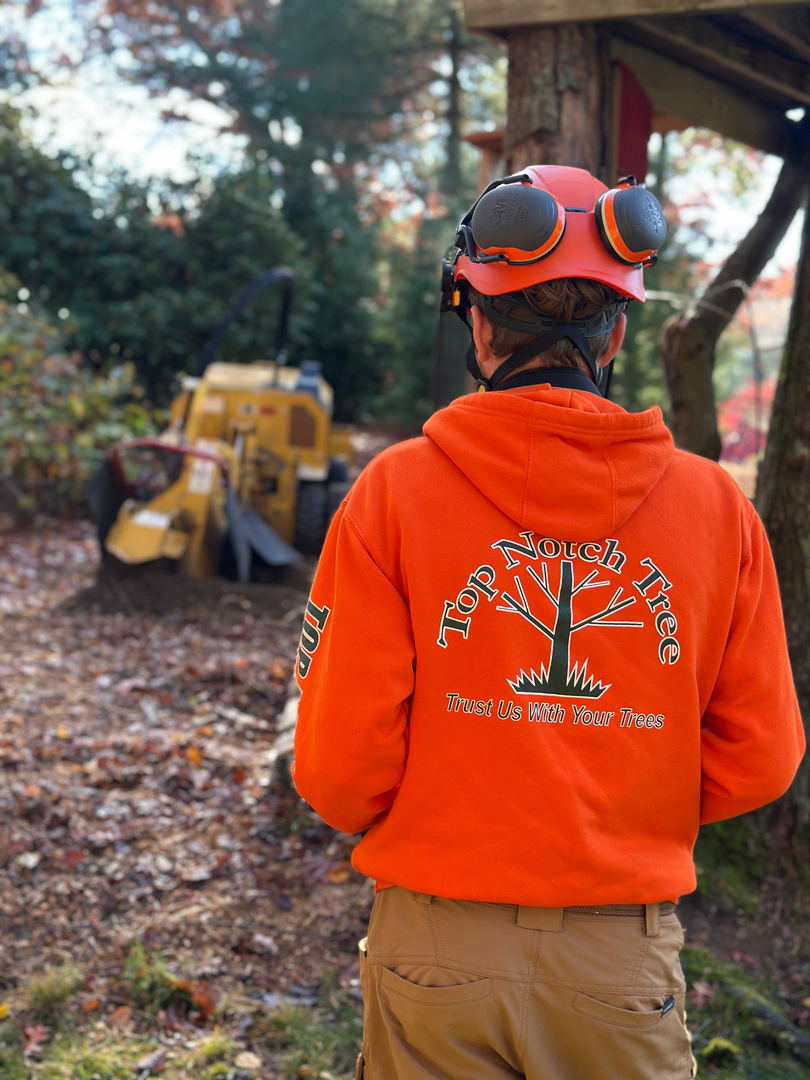 Top Notch Tree, Inc. - Rockland, MA