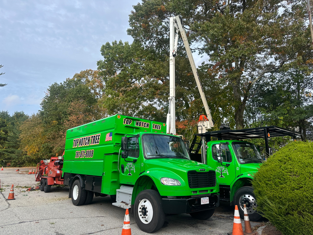 Top Notch Tree, Inc. - Rockland, MA