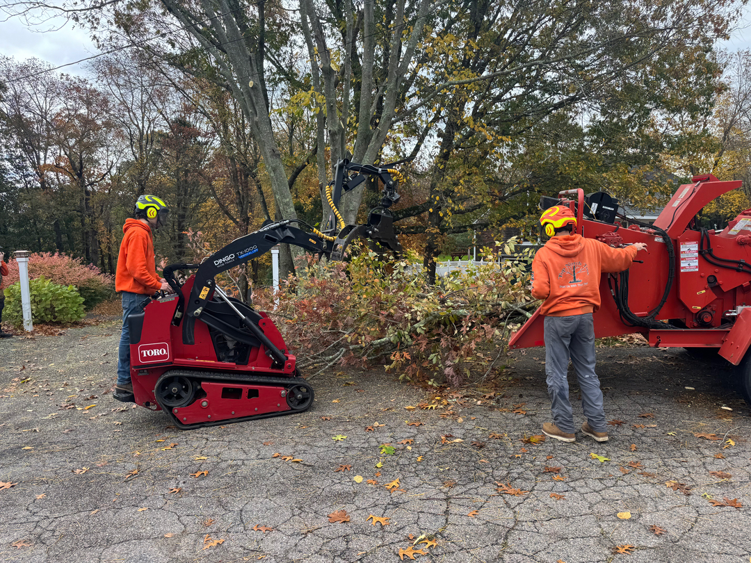 Top Notch Tree, Inc. - Rockland, MA